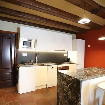 Apartment Atico Marques Figuera *